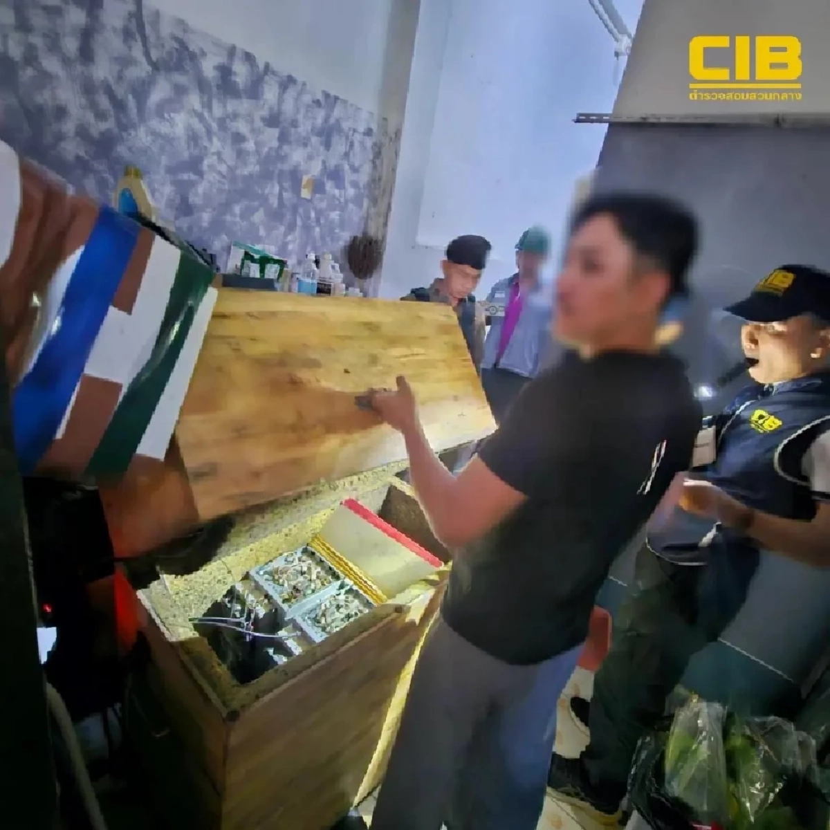 บิตคอยน์