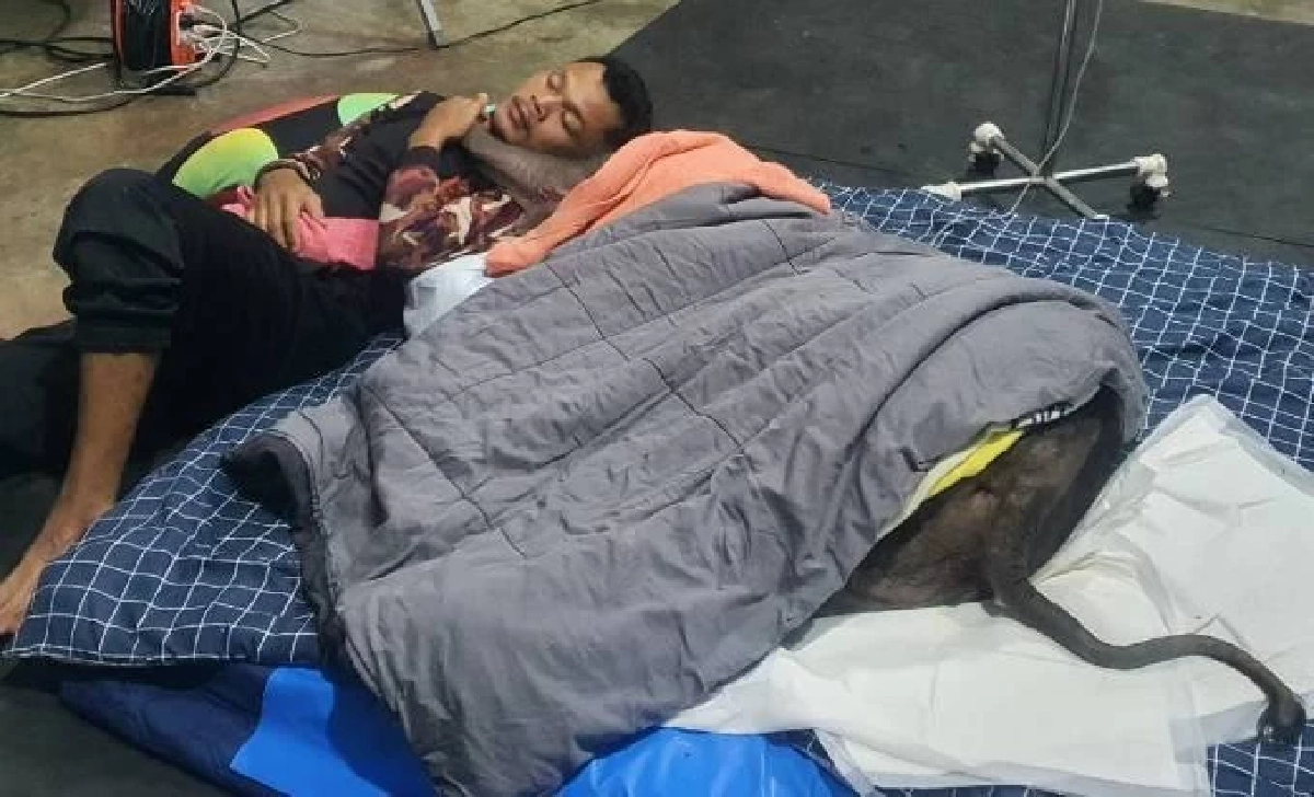 อาการ &quot;พังข้าวต้ม&quot; ทีมสัตวแพทย์ยังพบปัญหาระบบทางเดินอาหาร