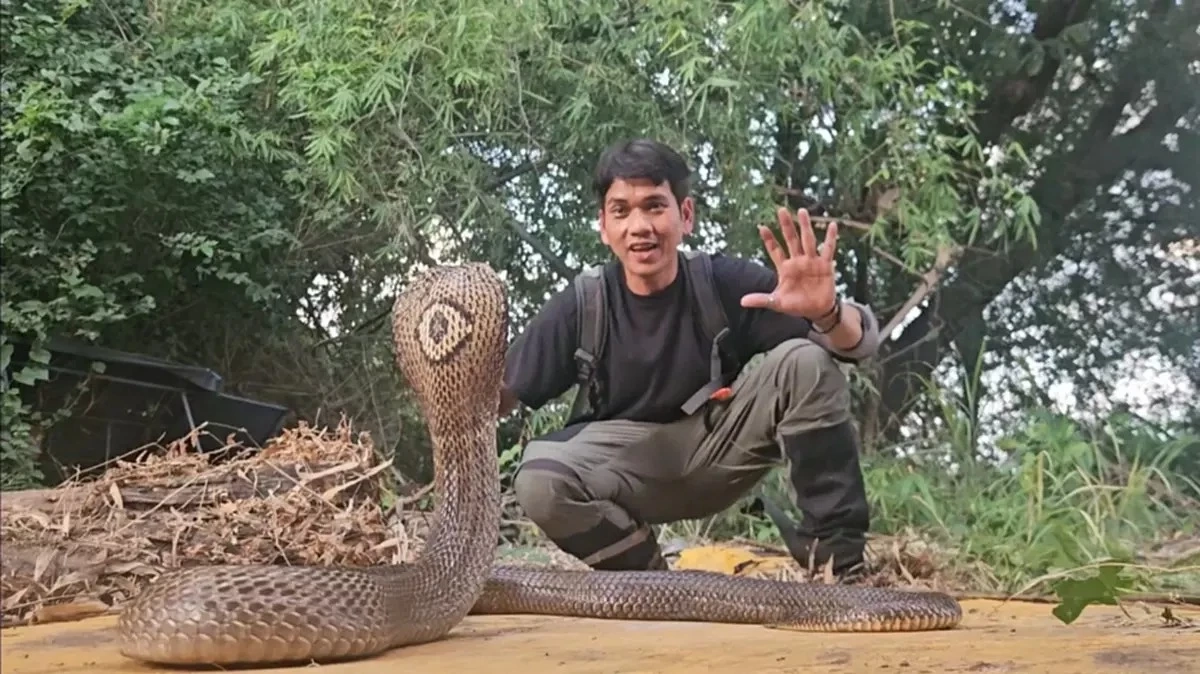 เสี่ยงจริง บังยา โพสต์ถึง "นิค อสรพิษวิทยา" หลังจงอางกัดจมเขี้ยว