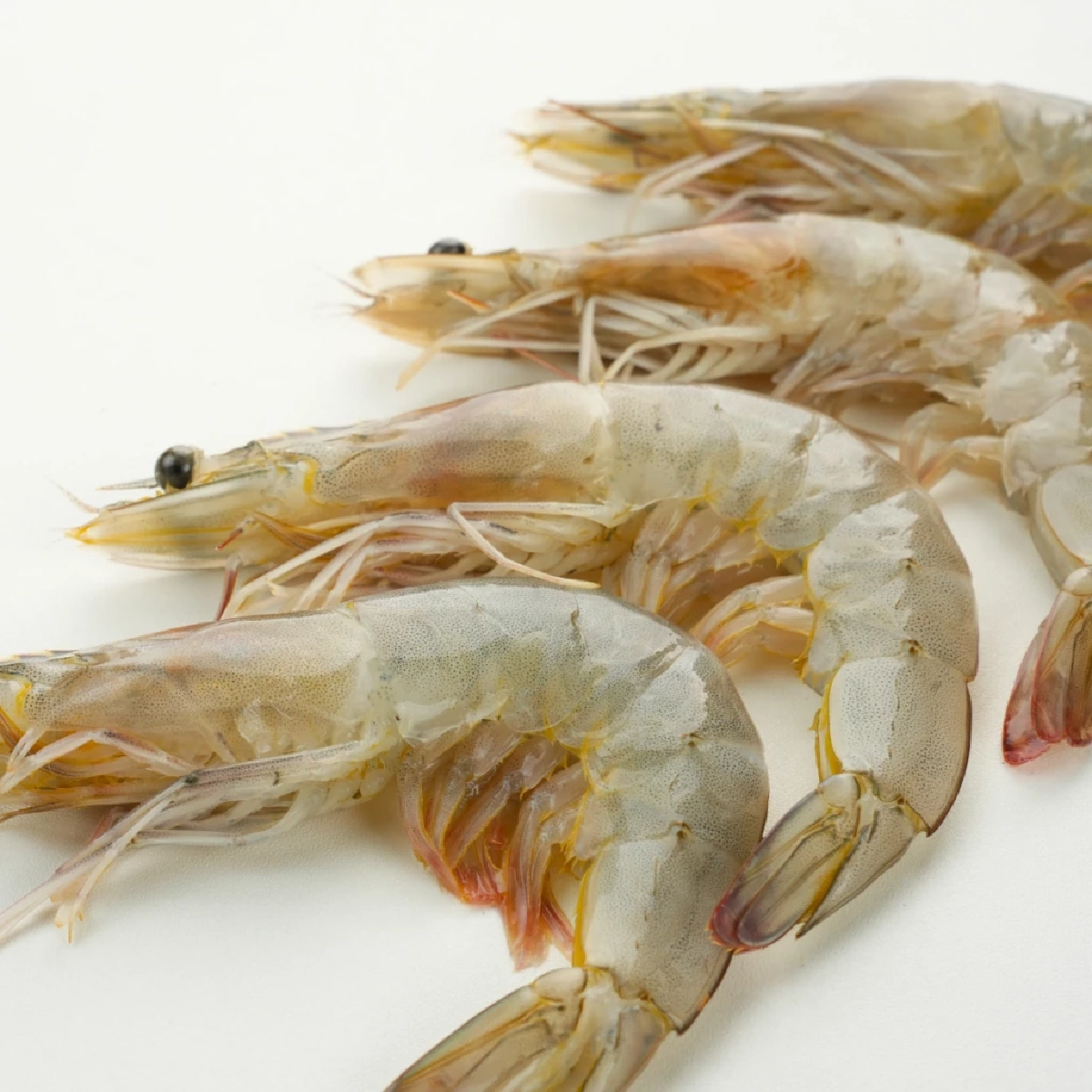 6 วิธีเลือกกุ้งสด ดูอย่างไรไม่ให้เจอฉีดสาร อัปเดตปี 2025