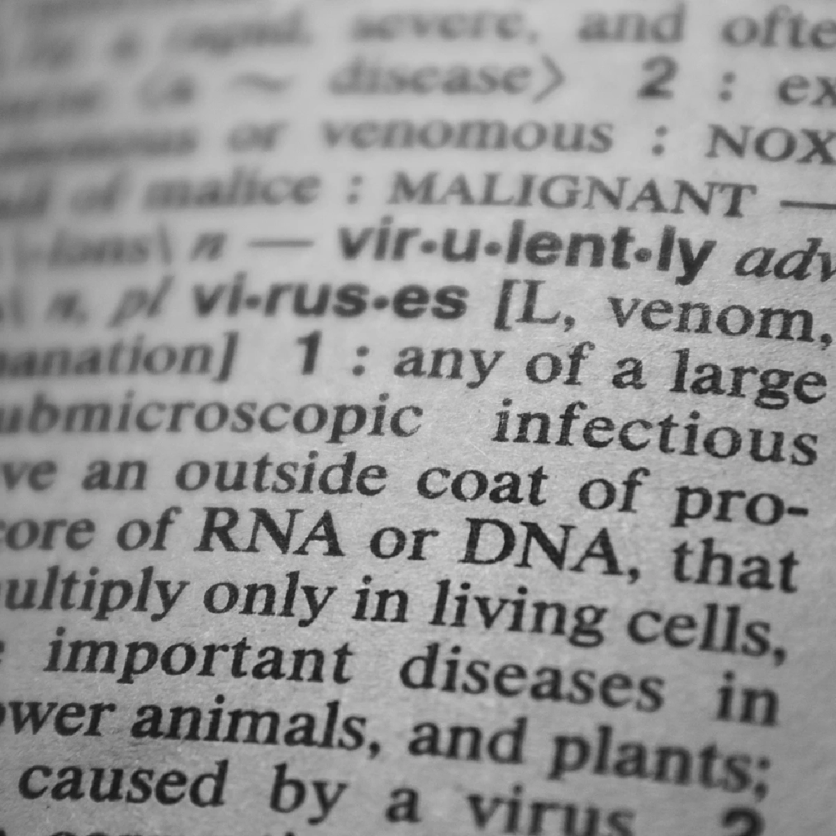 EF เปิดผลสอบปี 2025 ไทยรั้งท้ายเอเชีย ภาษาอังกฤษวิกฤตหนัก