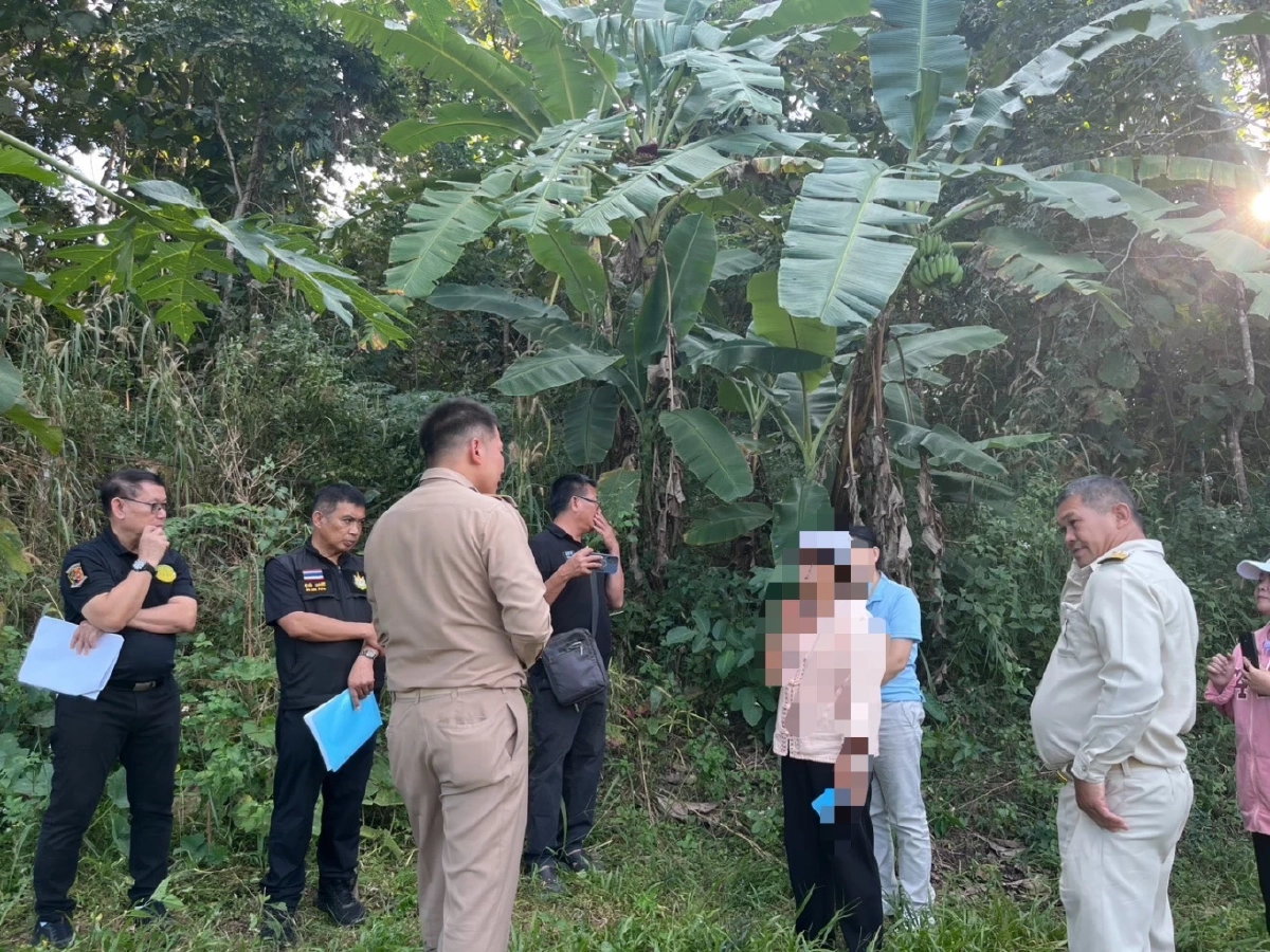 เฉลยแล้ว ตายายลำปาง ตัดต้นไม้อะไร ถึงโดนแจ้งจับ ปรับหลักแสน