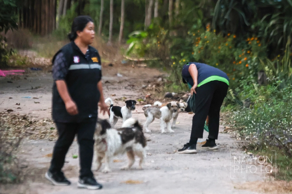 ภาพ โสภน สุเสนา (Sopon Susena)