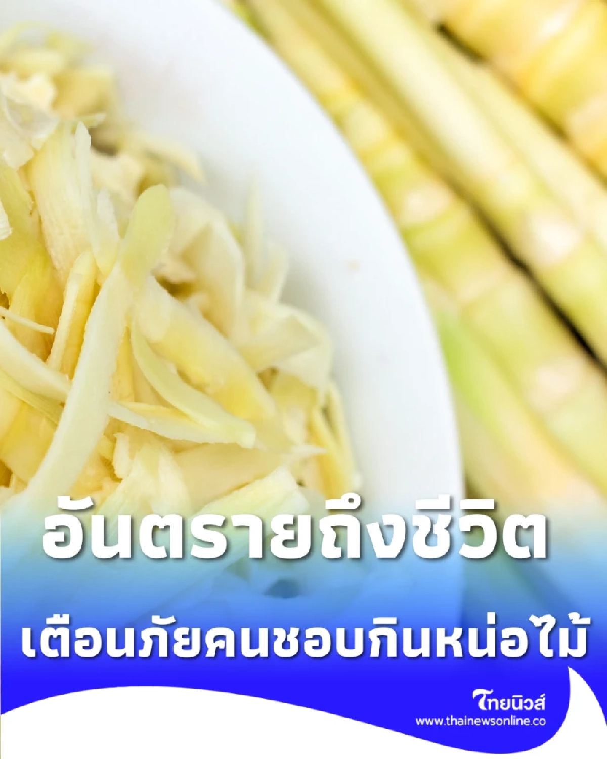 อันตรายถึงชีวิต กินหน่อไม้สดมาก เสี่ยงรับ สารอันตรายสูง