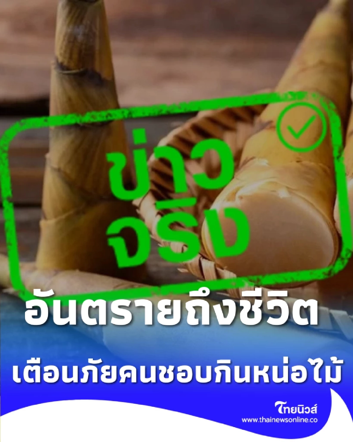 อันตรายถึงชีวิต กินหน่อไม้สดมาก เสี่ยงรับ สารอันตรายสูง