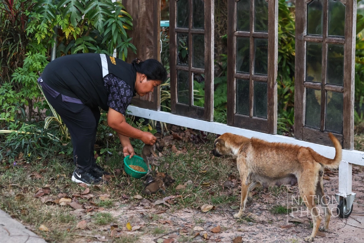 ภาพ โสภน สุเสนา (Sopon Susena)