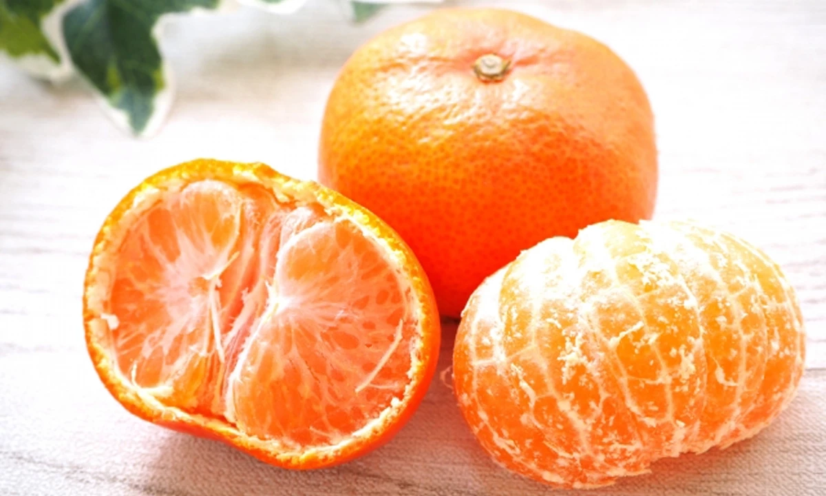 4 กลิ่นที่แมวไม่ชอบ! เจ้าของควรรู้เพื่อเลี่ยงความเครียดให้เจ้าเหมียว