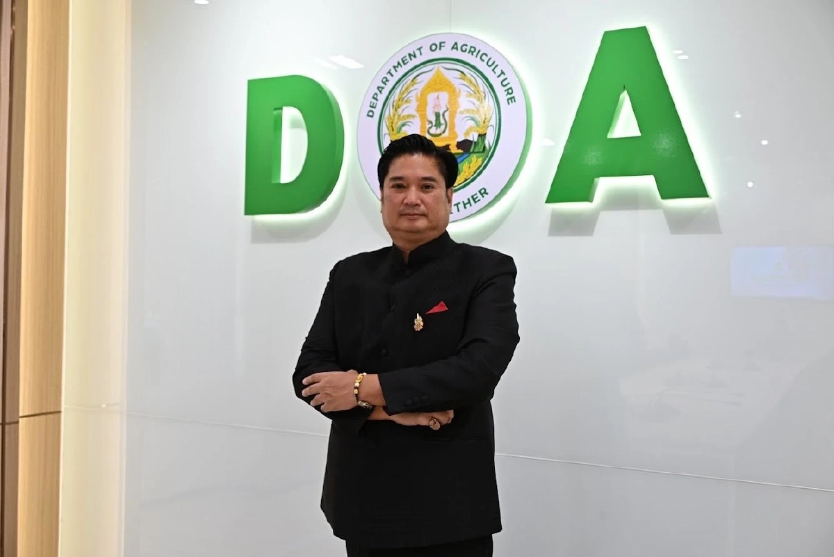 เปิดตัวชาพันธุ์ใหม่ ชากวก.เชียงใหม่ 1 ดันดาวเด่น หอม รสละมุน