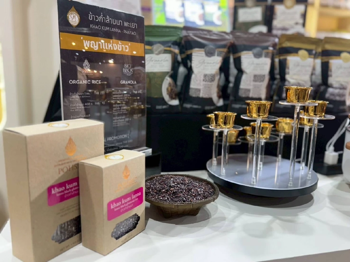 กรมทรัพย์สินทางปัญญา เปิดอาณาจักร GI Pavilion ยกขบวนเมล็ดพันธุ์ GI ไทย บุกงาน ข้าว-กาแฟ