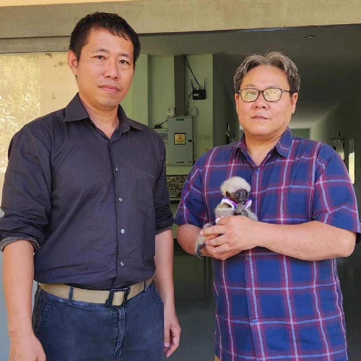 รับมอบ ลูกชะนี พลัดหลง ผ่านการแจ้งผ่านสายด่วนพิทักษ์ป่า 1362