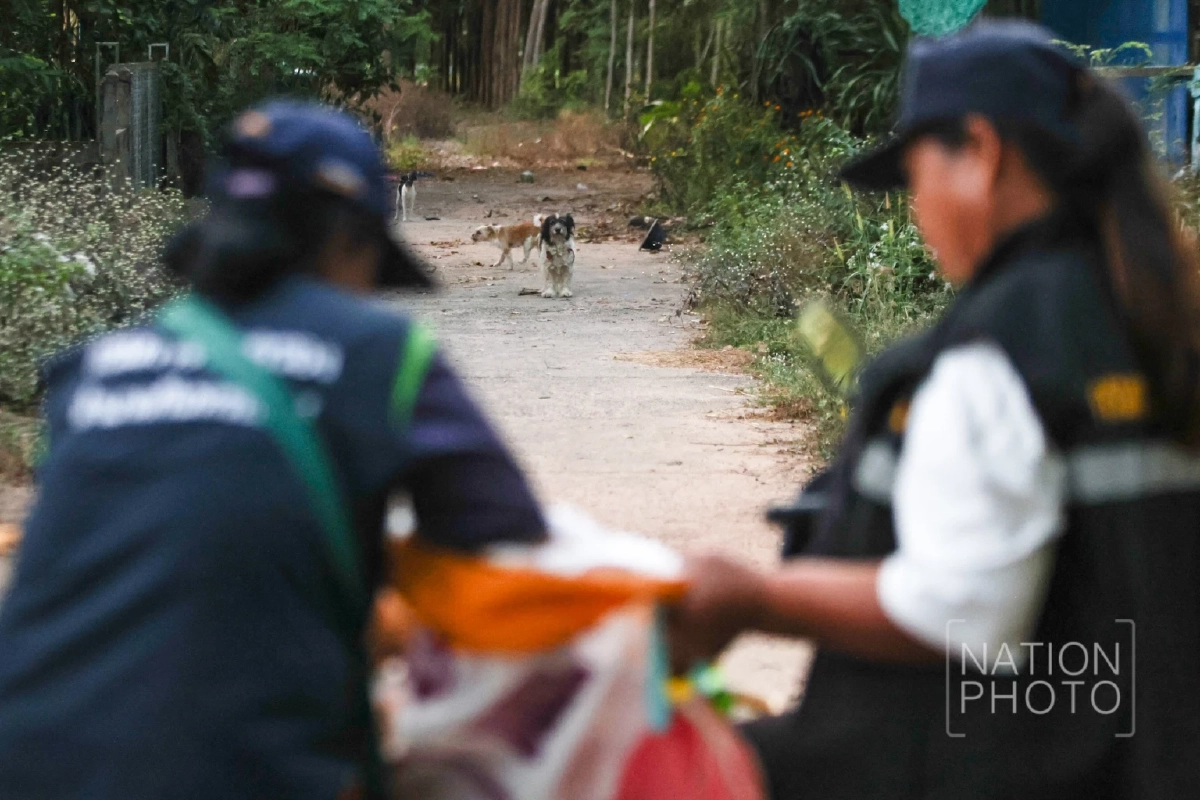 ภาพ โสภน สุเสนา (Sopon Susena)