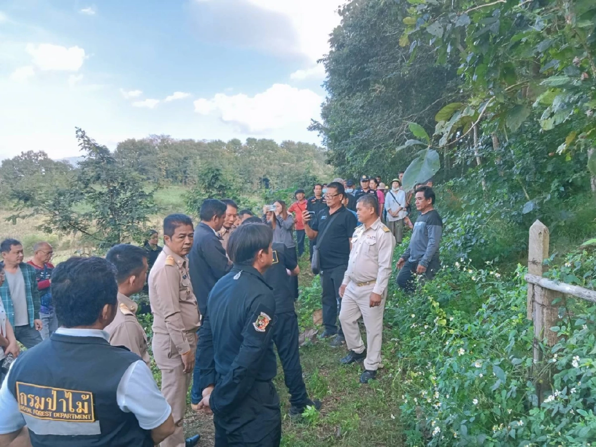 เฉลยแล้ว ตายายลำปาง ตัดต้นไม้อะไร ถึงโดนแจ้งจับ ปรับหลักแสน