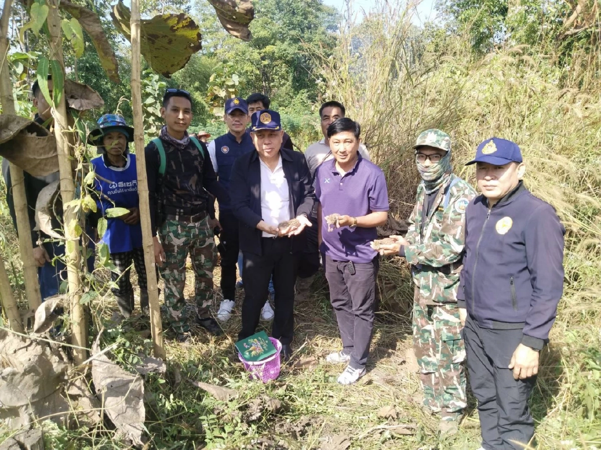 นาทีชีวิต! ชาวบ้านช่วย 3 ลูกแมวดาว ก่อนรถไถเหยียบจมดิน