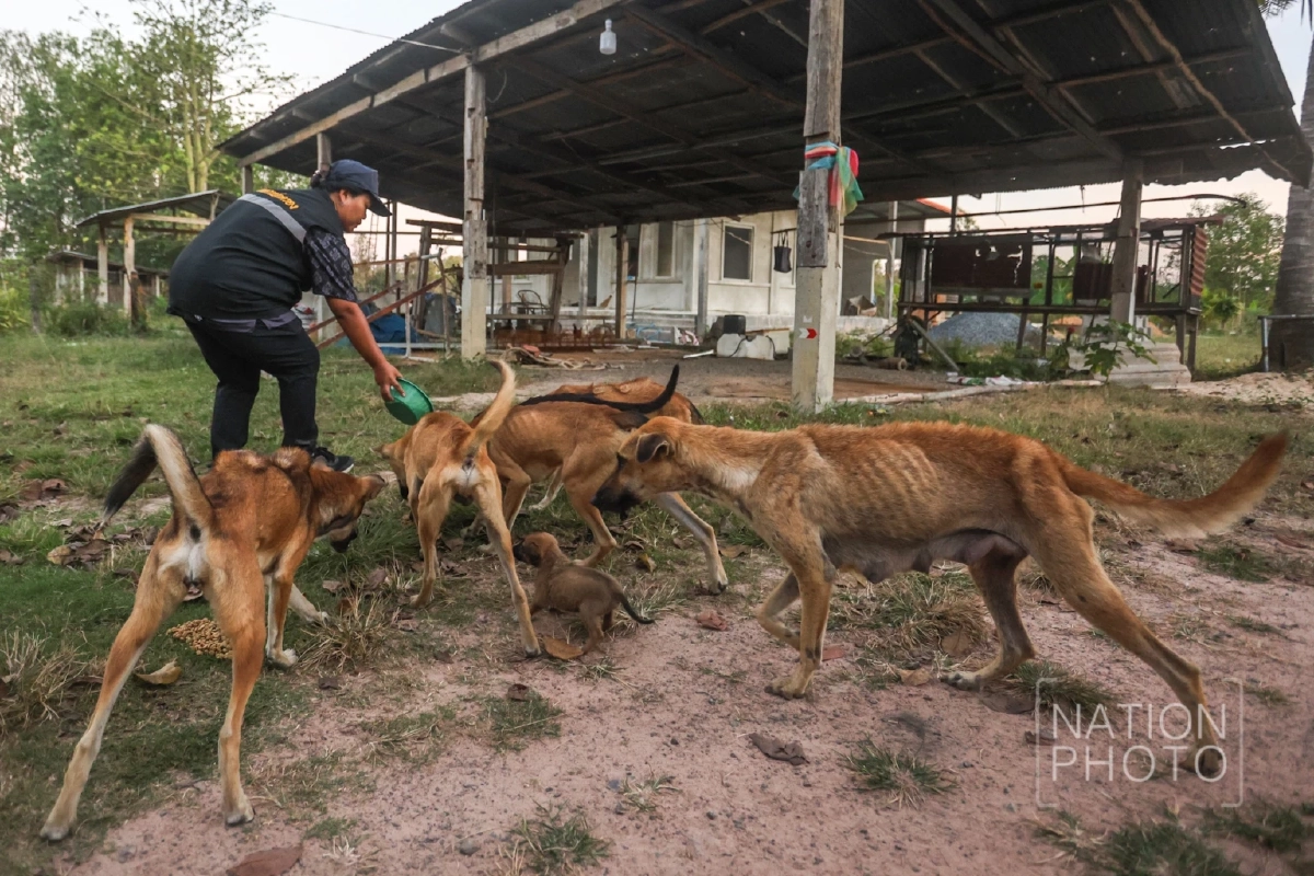 ภาพ โสภน สุเสนา (Sopon Susena)