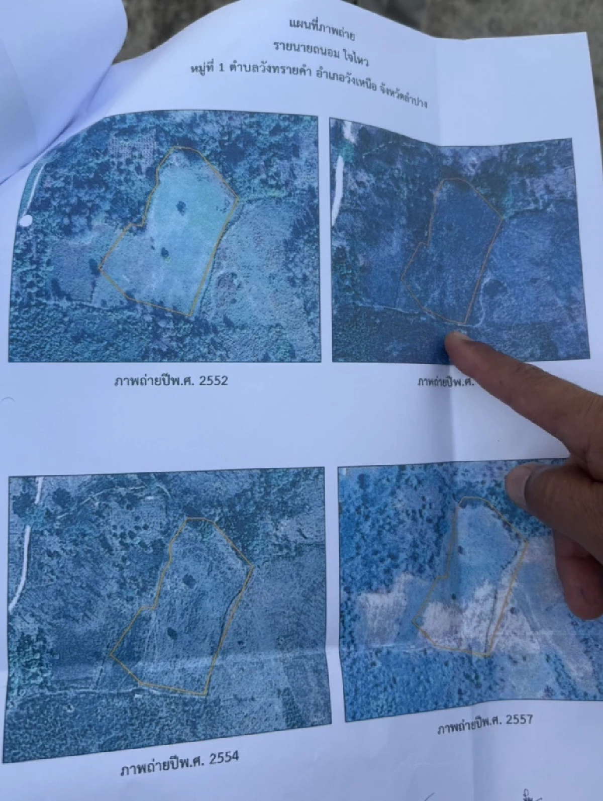 เฉลยแล้ว ตายายลำปาง ตัดต้นไม้อะไร ถึงโดนแจ้งจับ ปรับหลักแสน