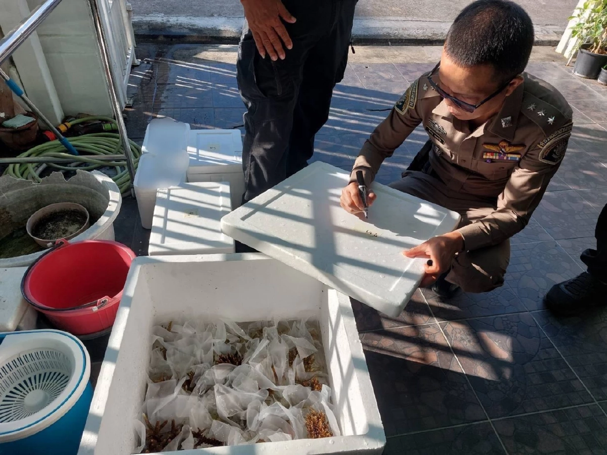 CIB บุกทลายขบวนการค้าปะการังออนไลน์ รวบหนุ่มวัย 33 ซุกของกลาง