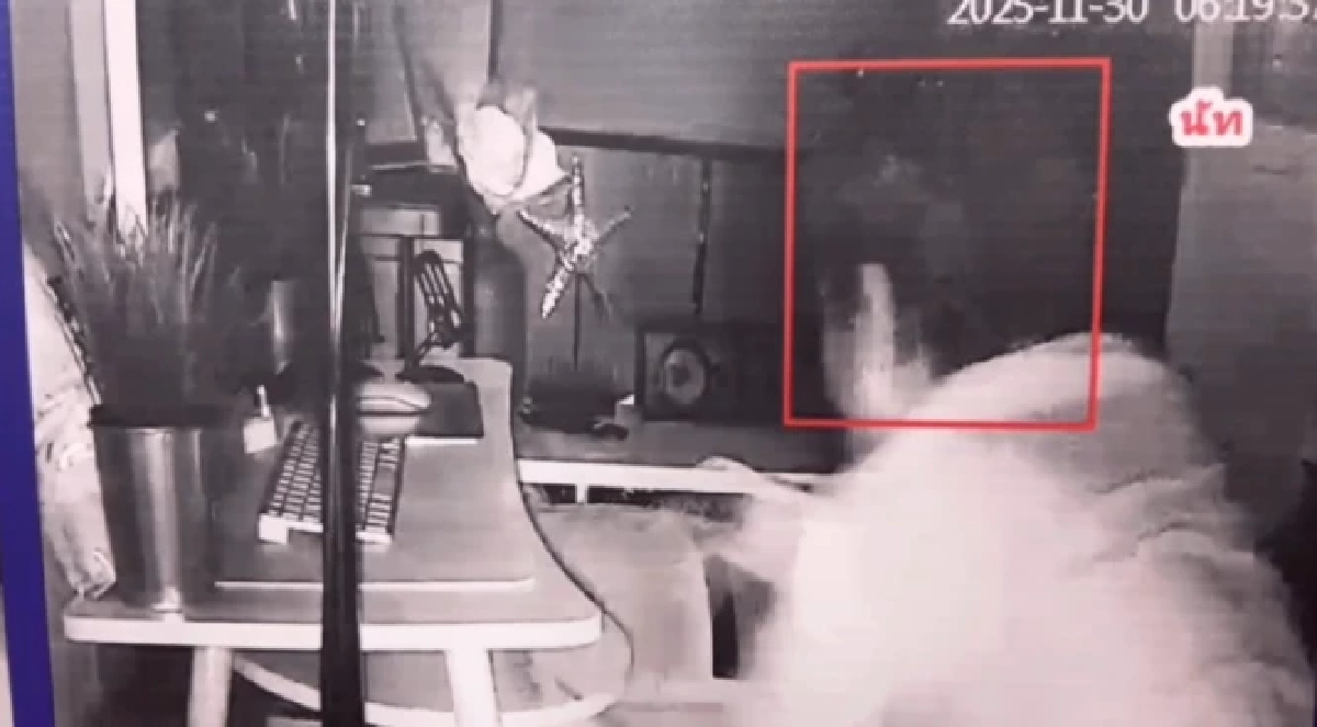 ปิดคดี "นัทปง" เผยผลชันสูตรชัดๆ ก่อนเปิดวงจรปิดเห็นเต็มๆ