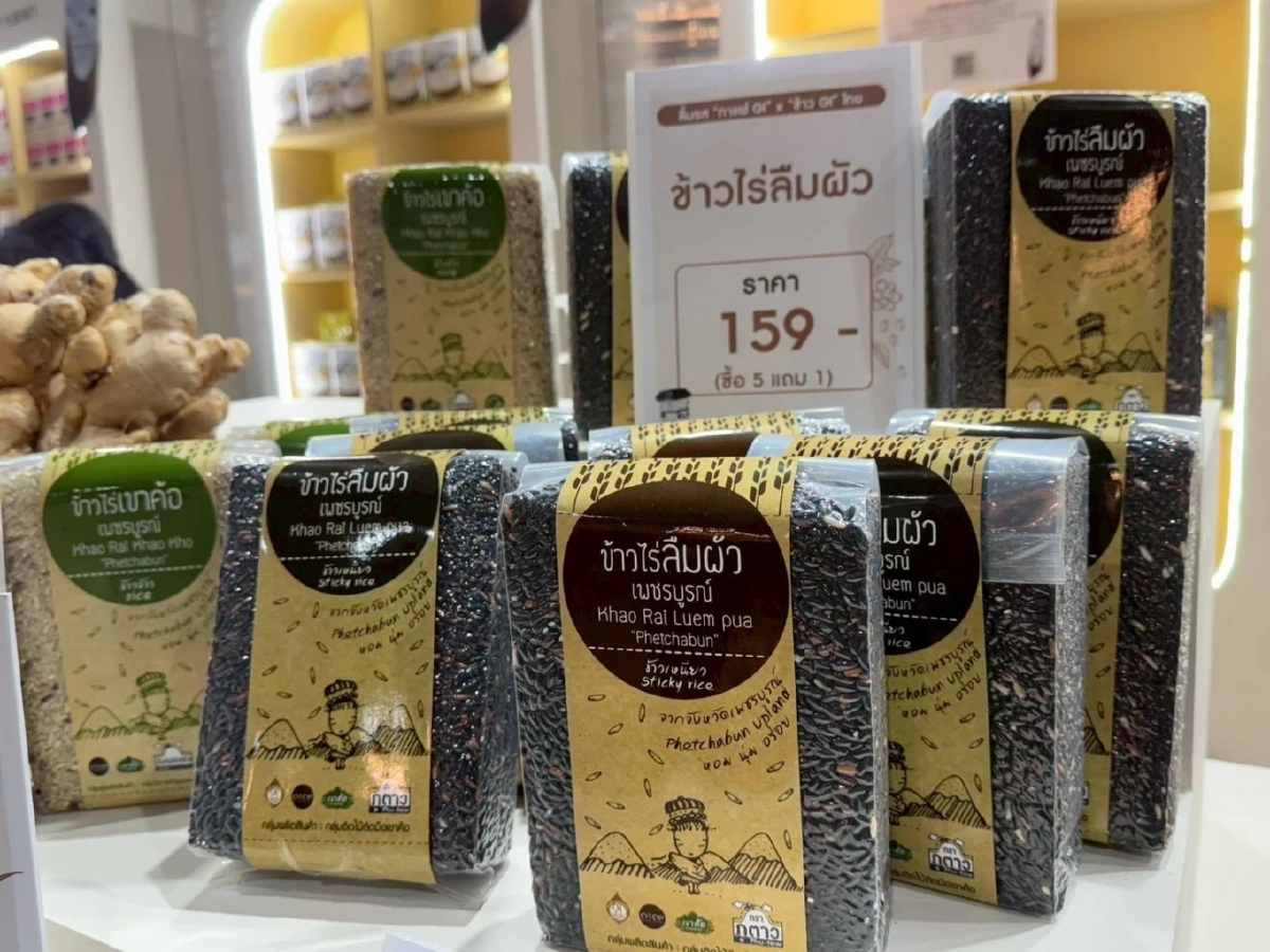 กรมทรัพย์สินทางปัญญา เปิดอาณาจักร GI Pavilion ยกขบวนเมล็ดพันธุ์ GI ไทย บุกงาน ข้าว-กาแฟ