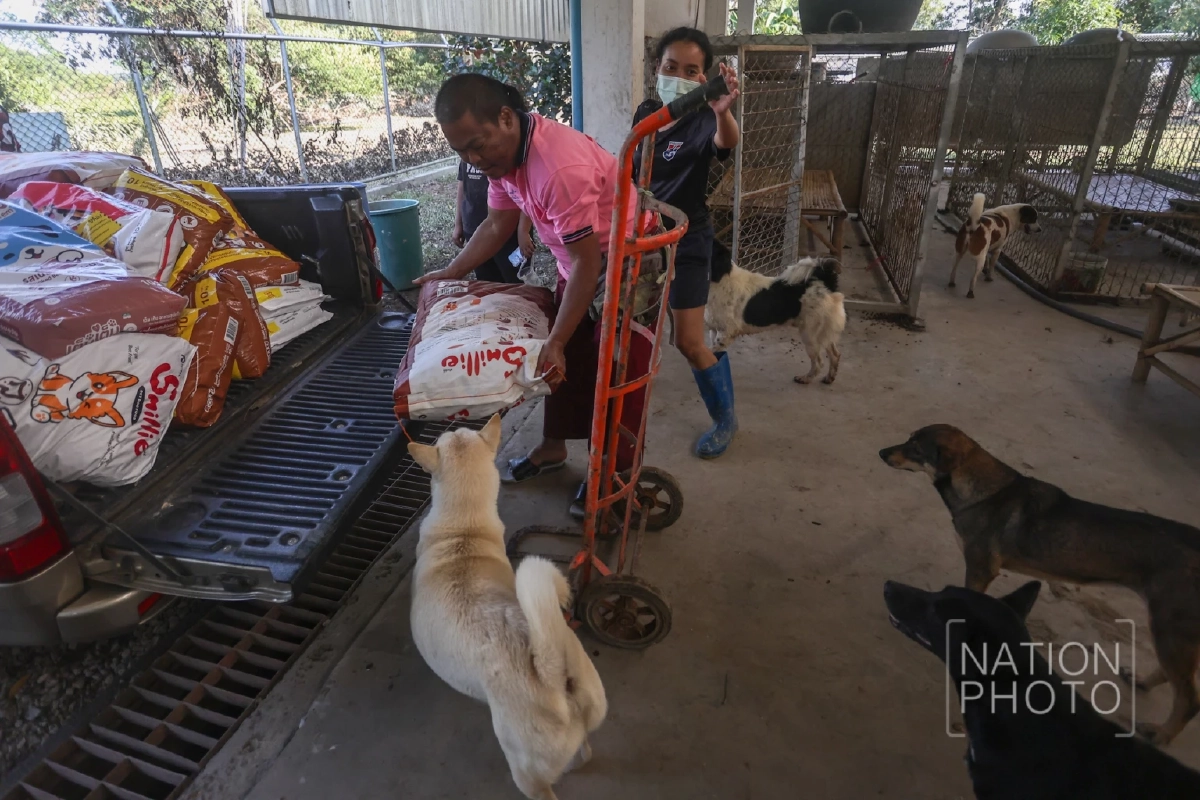 เปิดสภาพ ‘บ้านพักพิงหมาเหงา’ หลังน้ำท่วม สุนัขหายกว่า 50 ตัว