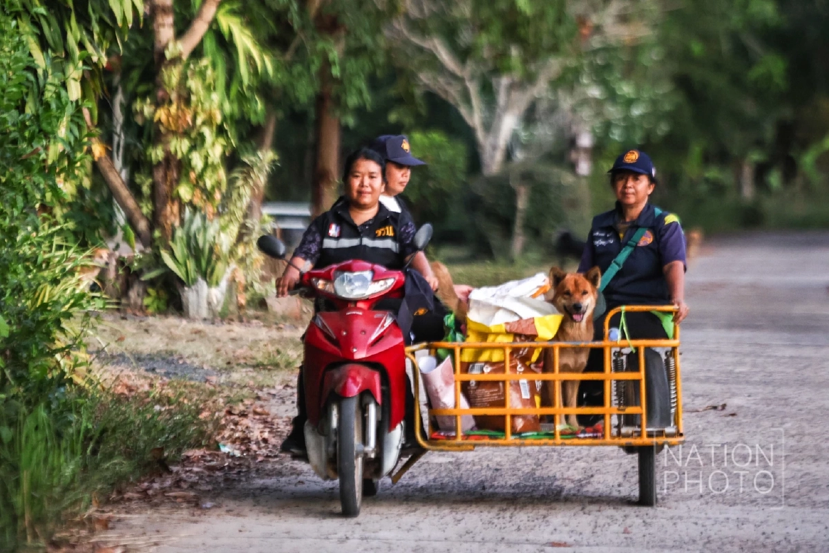 ภาพ โสภน สุเสนา (Sopon Susena)