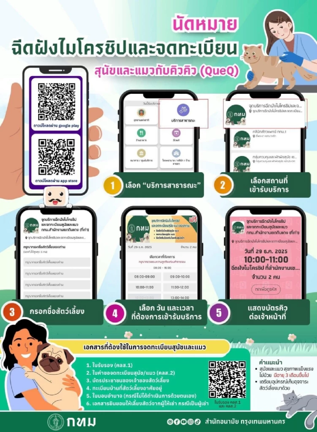 คนรักหมาแมวห้ามพลาด! กทม. เปิดจองคิวฝังไมโครชิปสัตว์เลี้ยงฟรี