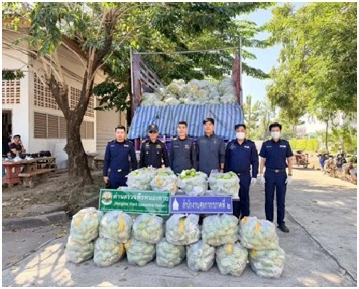 ดักจับ มะม่วงแก้วขมิ้นลักลอบนำเข้า 13 ตัน ยึดของกลางเพียบ