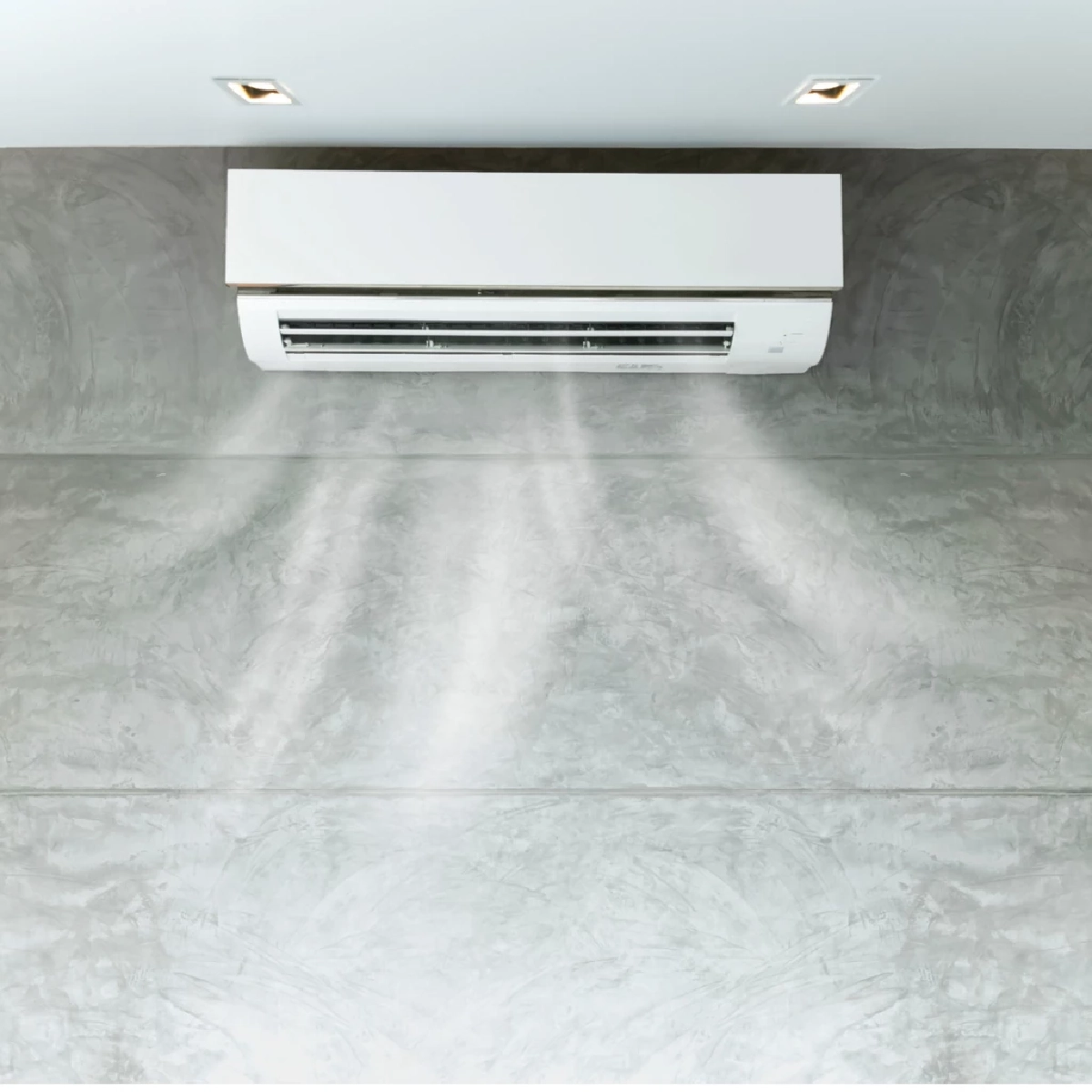 แอร์เย็นผิดองศา! เสี่ยงสัตว์เลี้ยงป่วย เจ้าของต้องรู้ด่วน