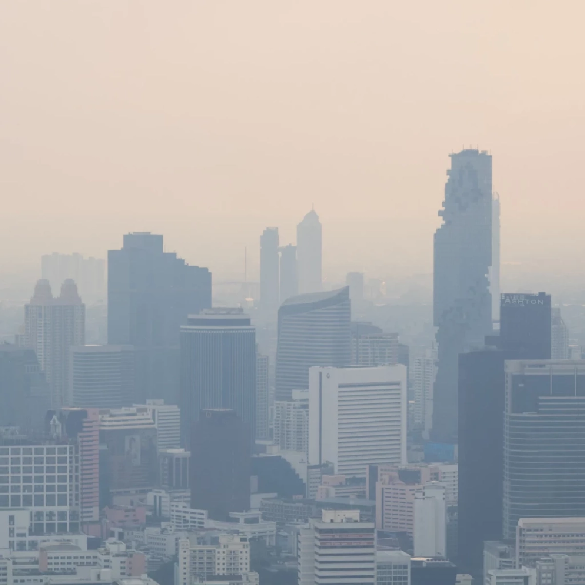 ปี 68 คนไทยป่วย PM2.5 ทะลุ 10 ล้าน เสี่ยงมะเร็งพุ่ง
