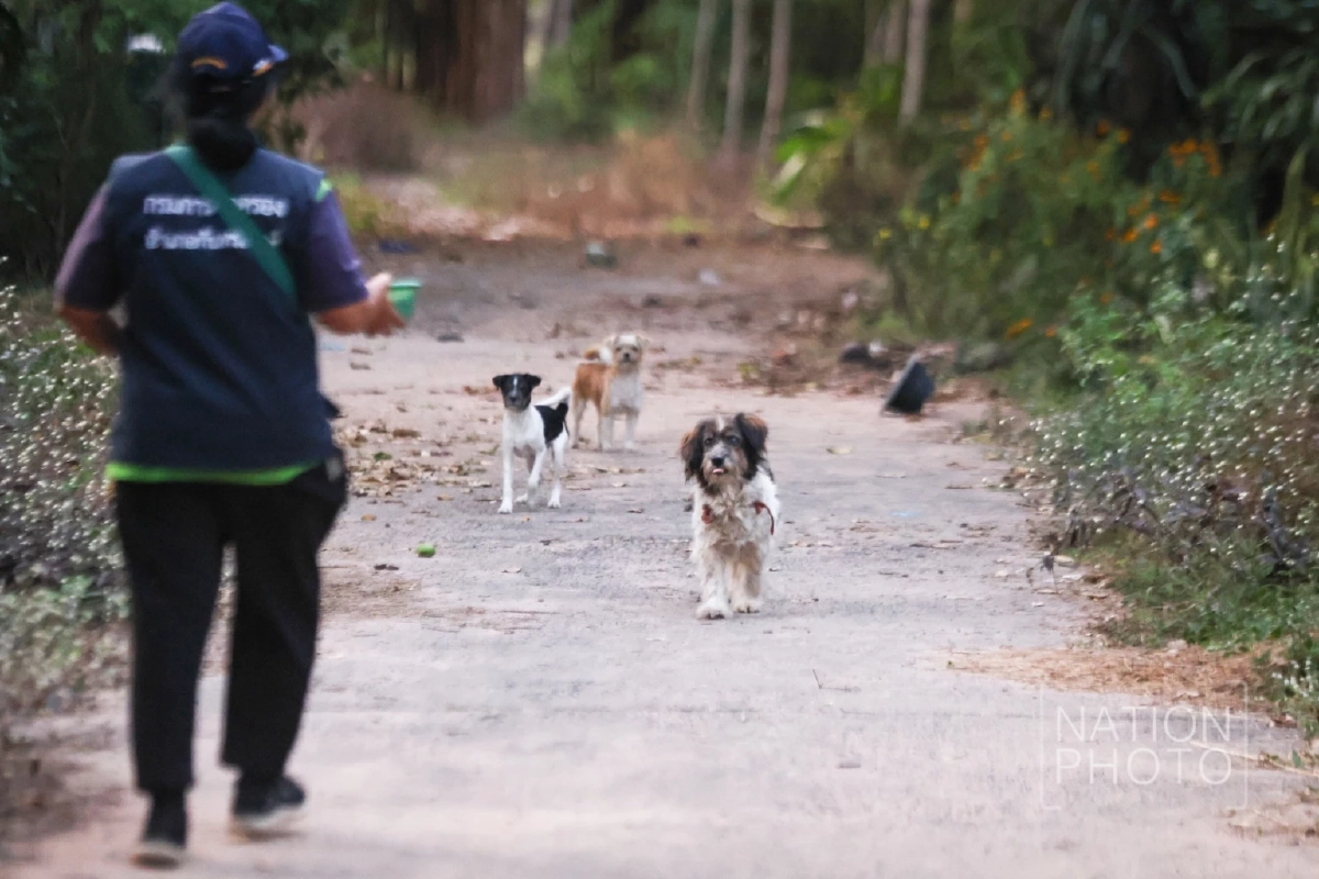 ภาพ โสภน สุเสนา (Sopon Susena)
