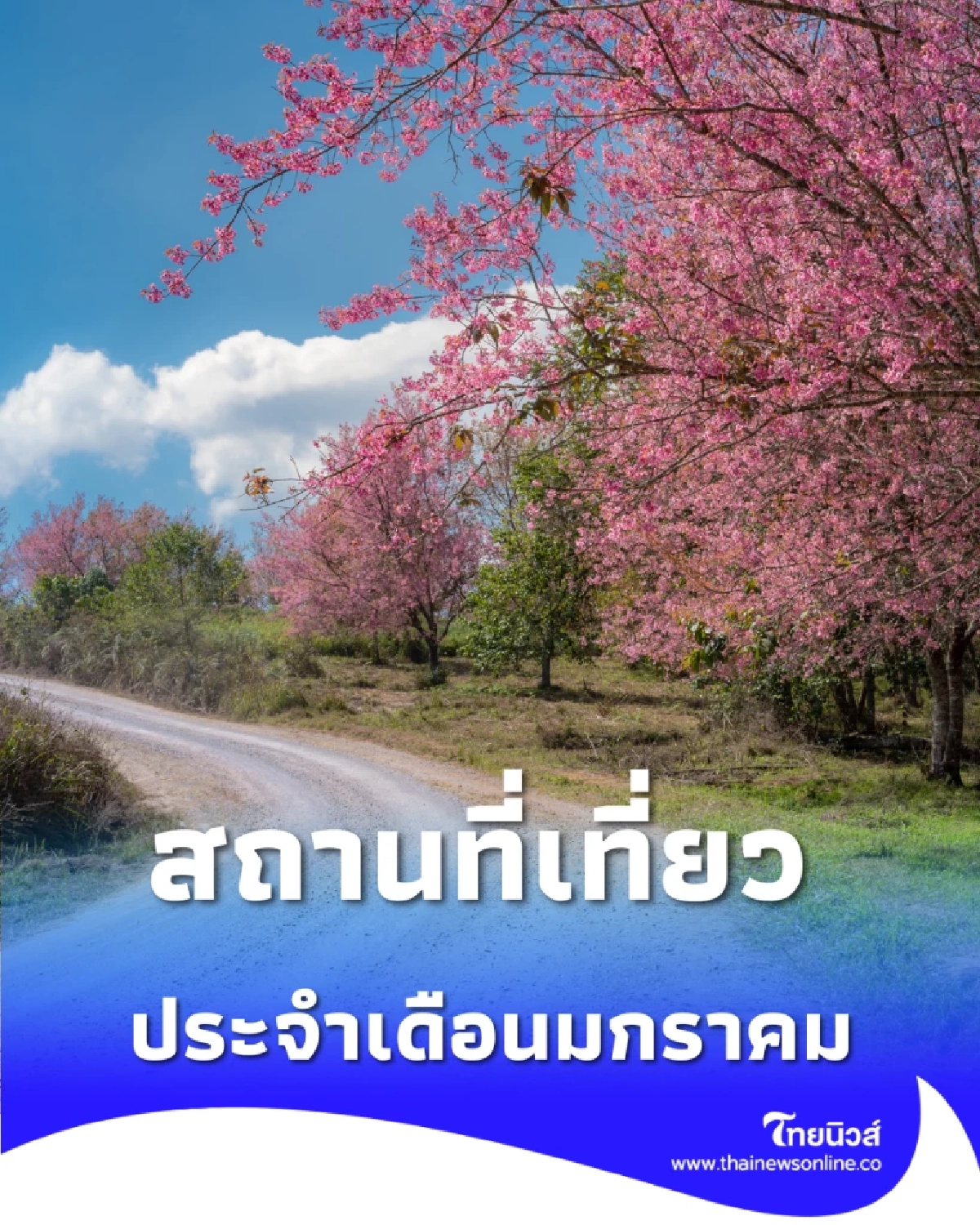 สถานที่ท่องเที่ยว ประจำเดือนมกราคม ควรเที่ยวที่ไหนดี