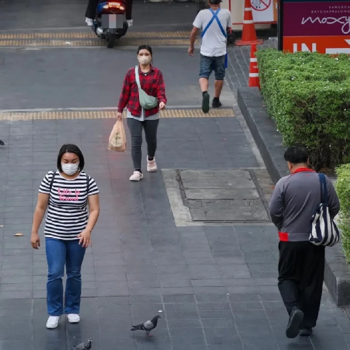 เกินมาตรฐานทุกเขต กรุงเทพฯ อากาศวิกฤต! PM2.5 พุ่ง