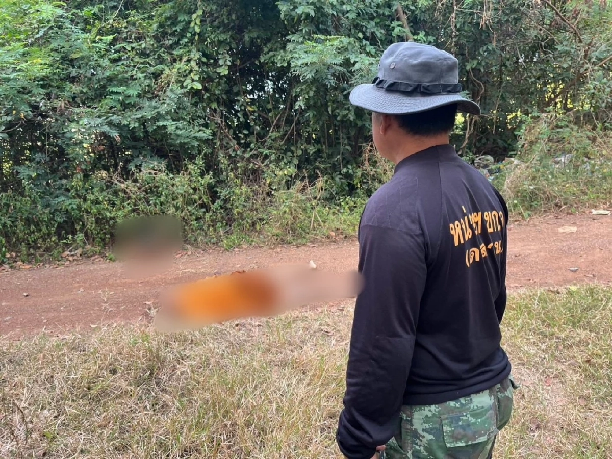 ช้างป่าทำร้ายพระมรณภาพขณะบิณฑบาต กรมอุทยานเร่งเยียวยา