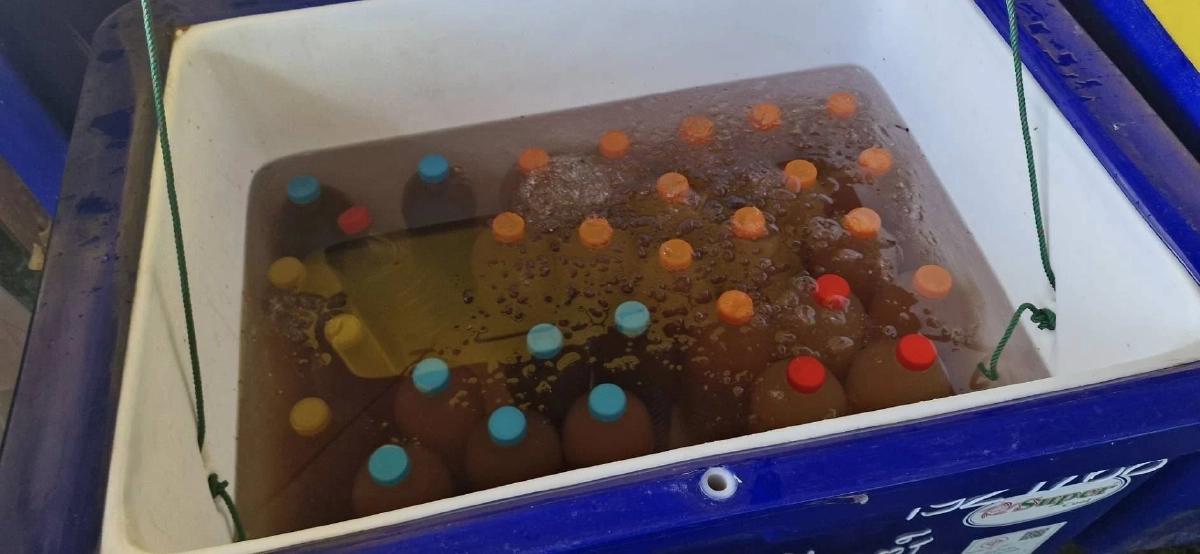 ป.ป.ส. ร่วมกับ สภ.เมืองสุรินทร์ บุกจับ 4 ร้านน้ำกระท่อมผสม