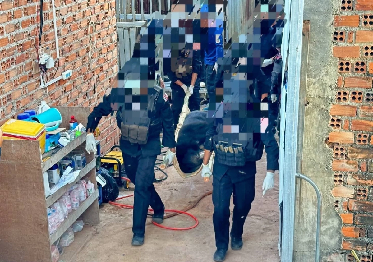 กรมอุทยานฯ บุกช่วยหมีและสิงโตจากกาสิโนชายแดนตราด ส่งพักฟื้นด่วน