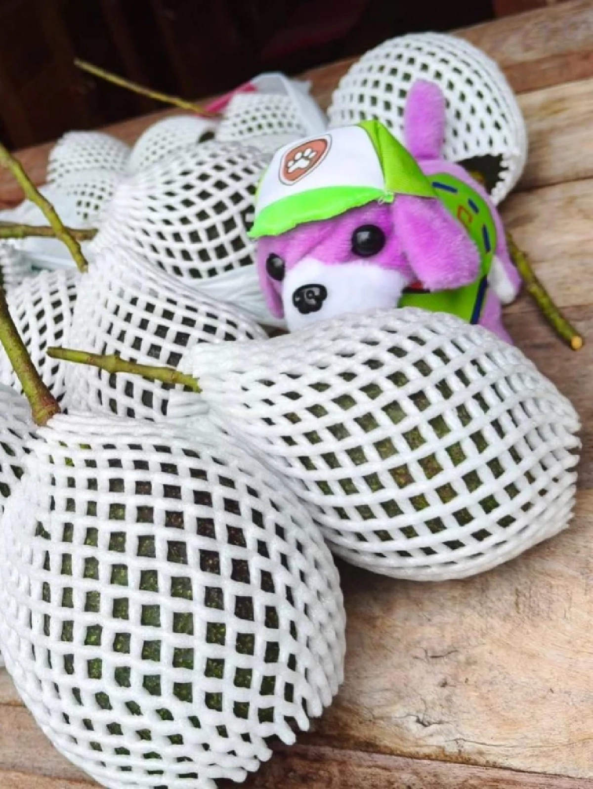  ติดดินอย่างมีความสุข  ปลูกผักกินเอง สอนลูกใกล้ชิดธรรมชาติ