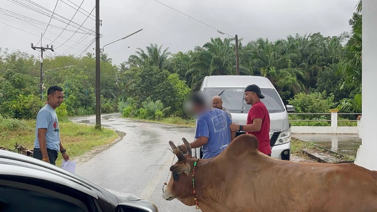 รวบ เด็กเลี้ยงวัว เมืองสงขลา พัวพันเครือข่ายค้ายานรก