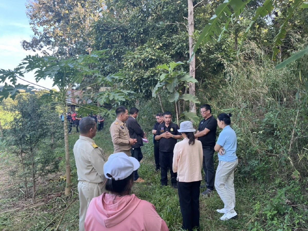 เฉลยแล้ว ตายายลำปาง ตัดต้นไม้อะไร ถึงโดนแจ้งจับ ปรับหลักแสน