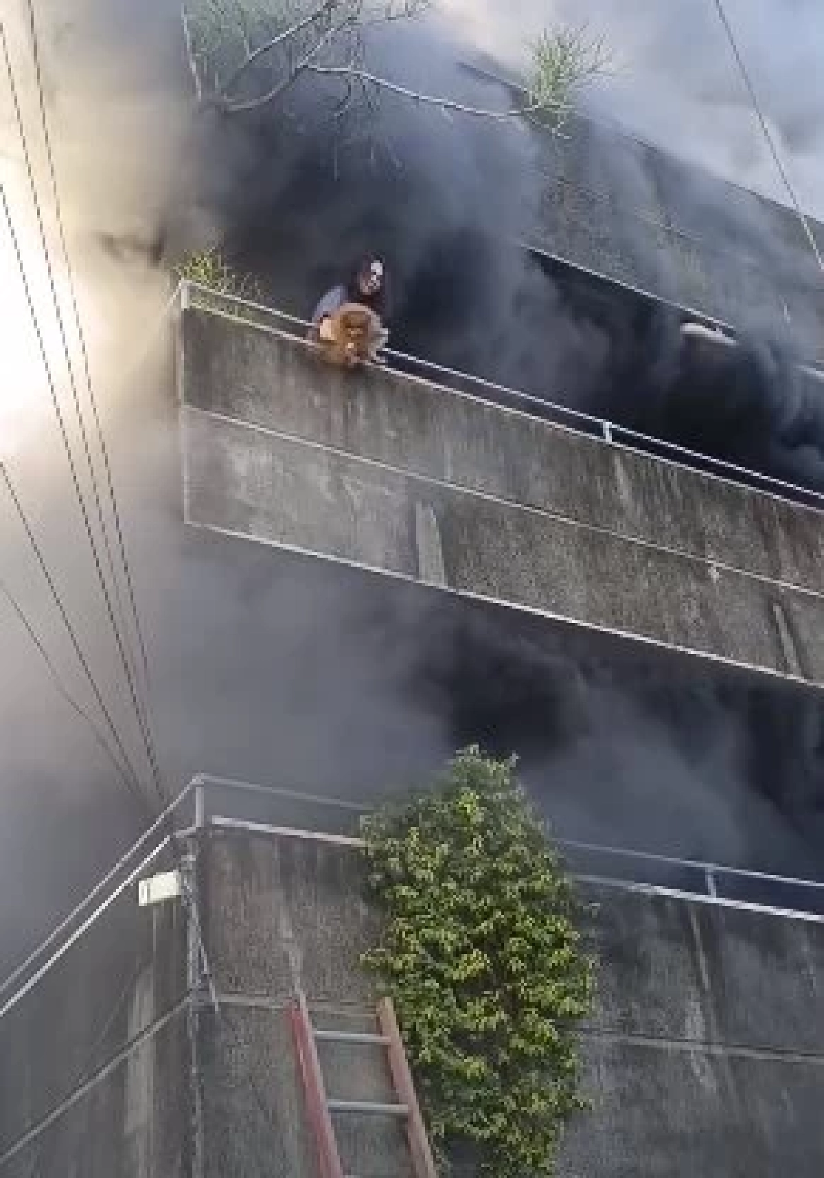 ไฟไหม้รุนแรง แต่หญิงสาวไม่ยอมหนี ต้องช่วยสุนัขให้ครบก่อน