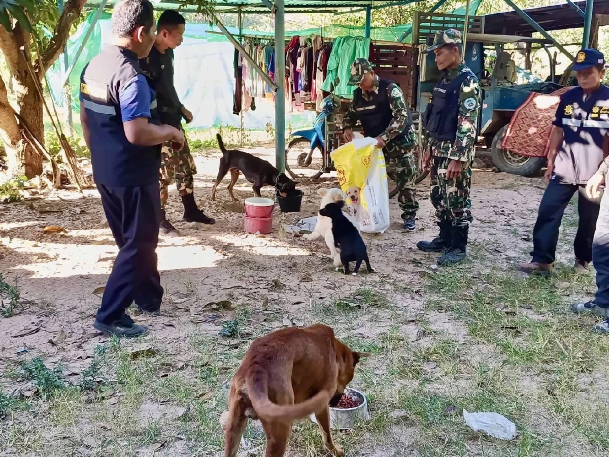 เจ้าหน้าที่ สบอ.9 รุดดูแลสัตว์เลี้ยงชาวบ้าน หลังอพยพหนีภัยชายแดน