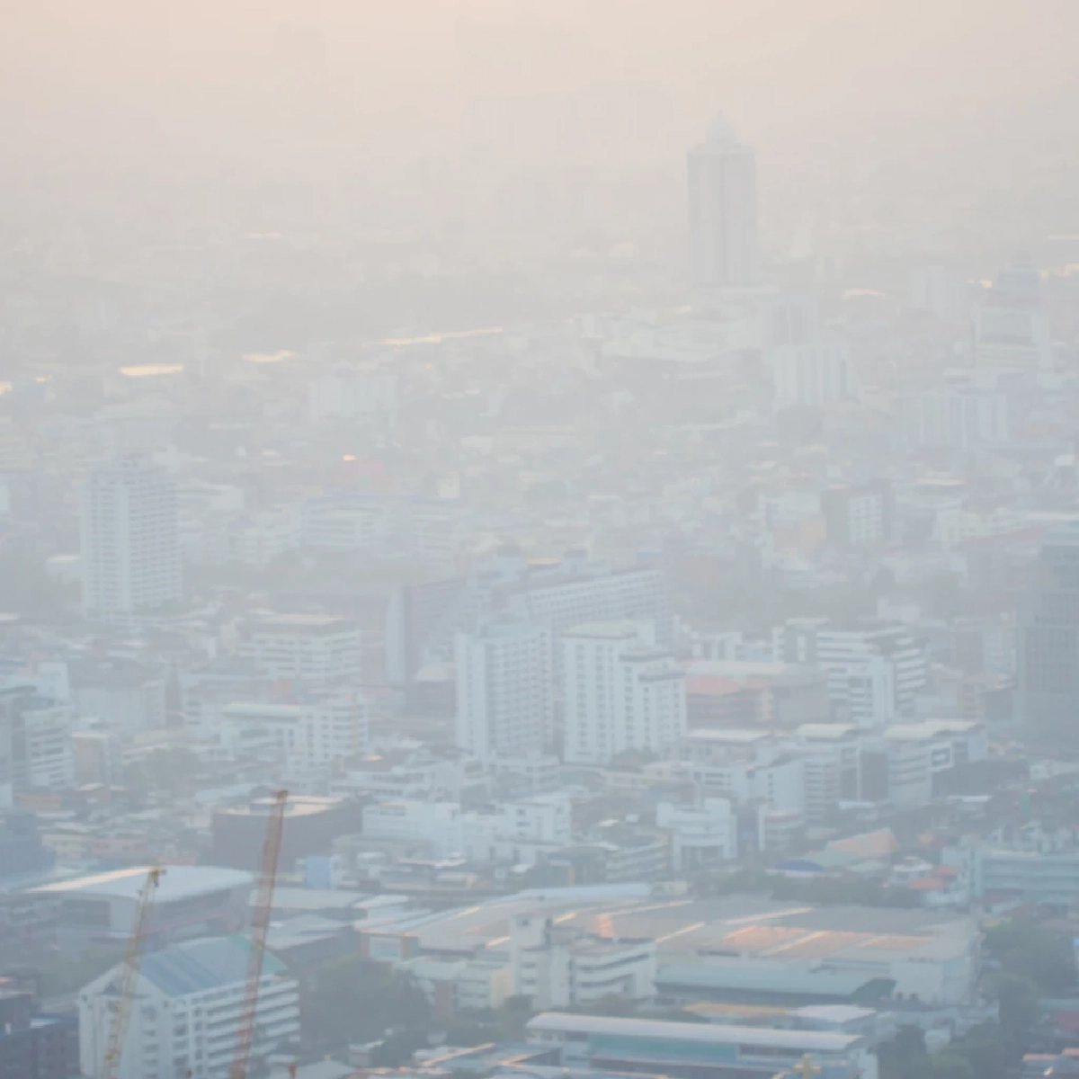 เตือนวิ่งกลางฝุ่น PM2.5 สูง เสี่ยงอันตรายสุขภาพจริง