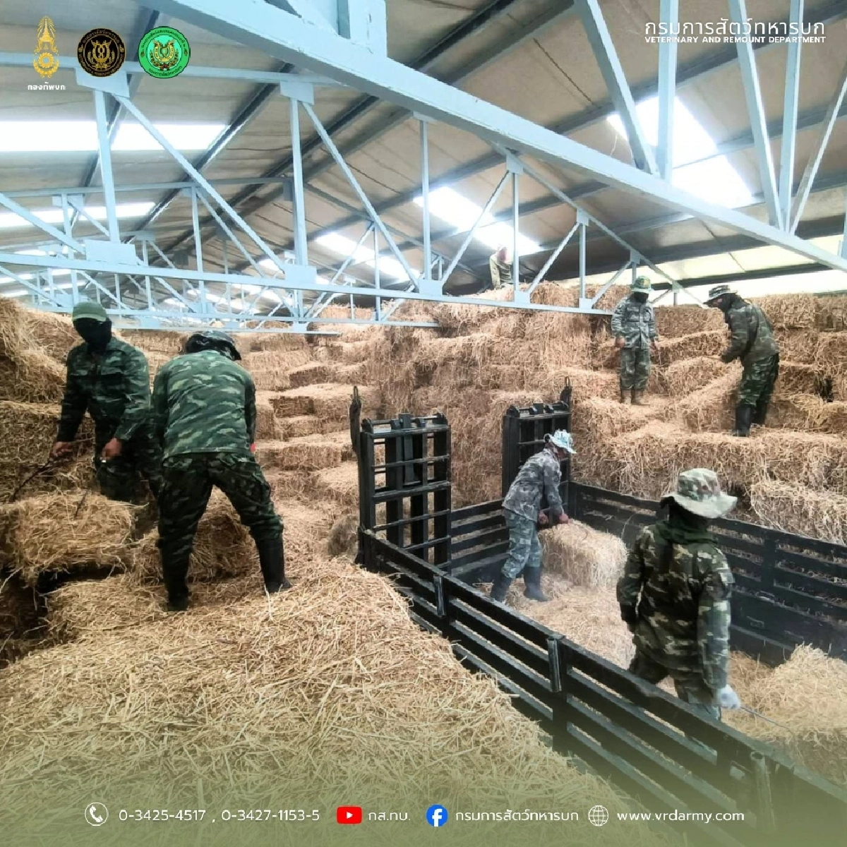 กองทัพบก โดยกรมการสัตว์ทหารบก สนับสนุนการช่วยเหลือเกษตรกร