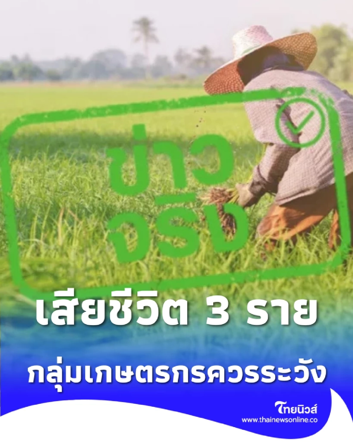 เตือนเกษตรกร-คนเลี้ยงสัตว์ เห็บอันตรายติดต่อคนสู่คนได้