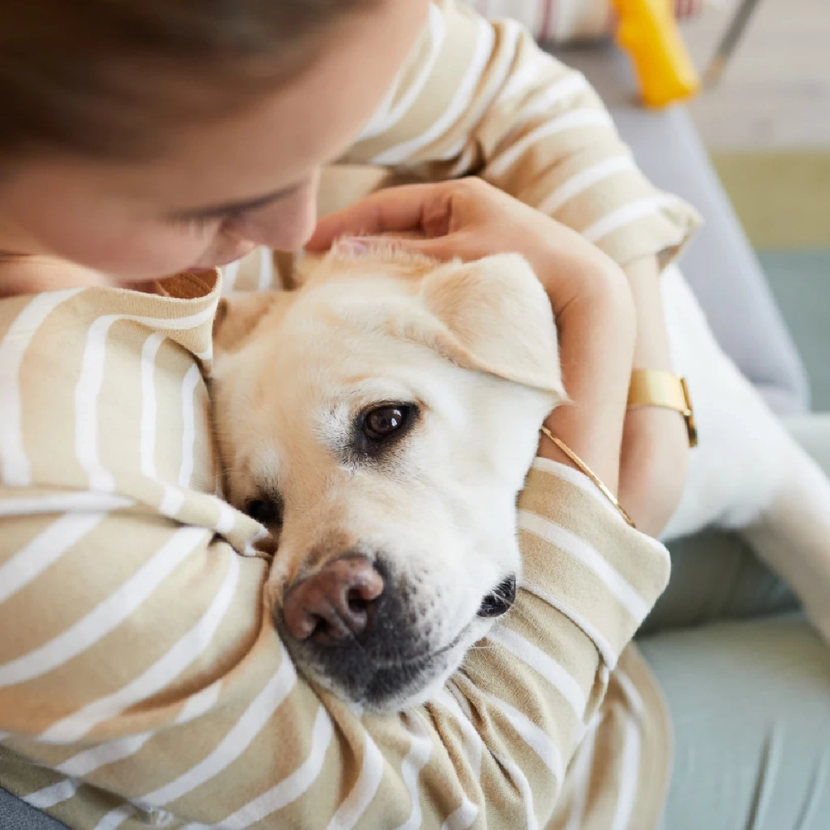 สุนัขรับรู้อารมณ์มนุษย์ และเข้าใจความรู้สึกเรามากกว่าที่คิด