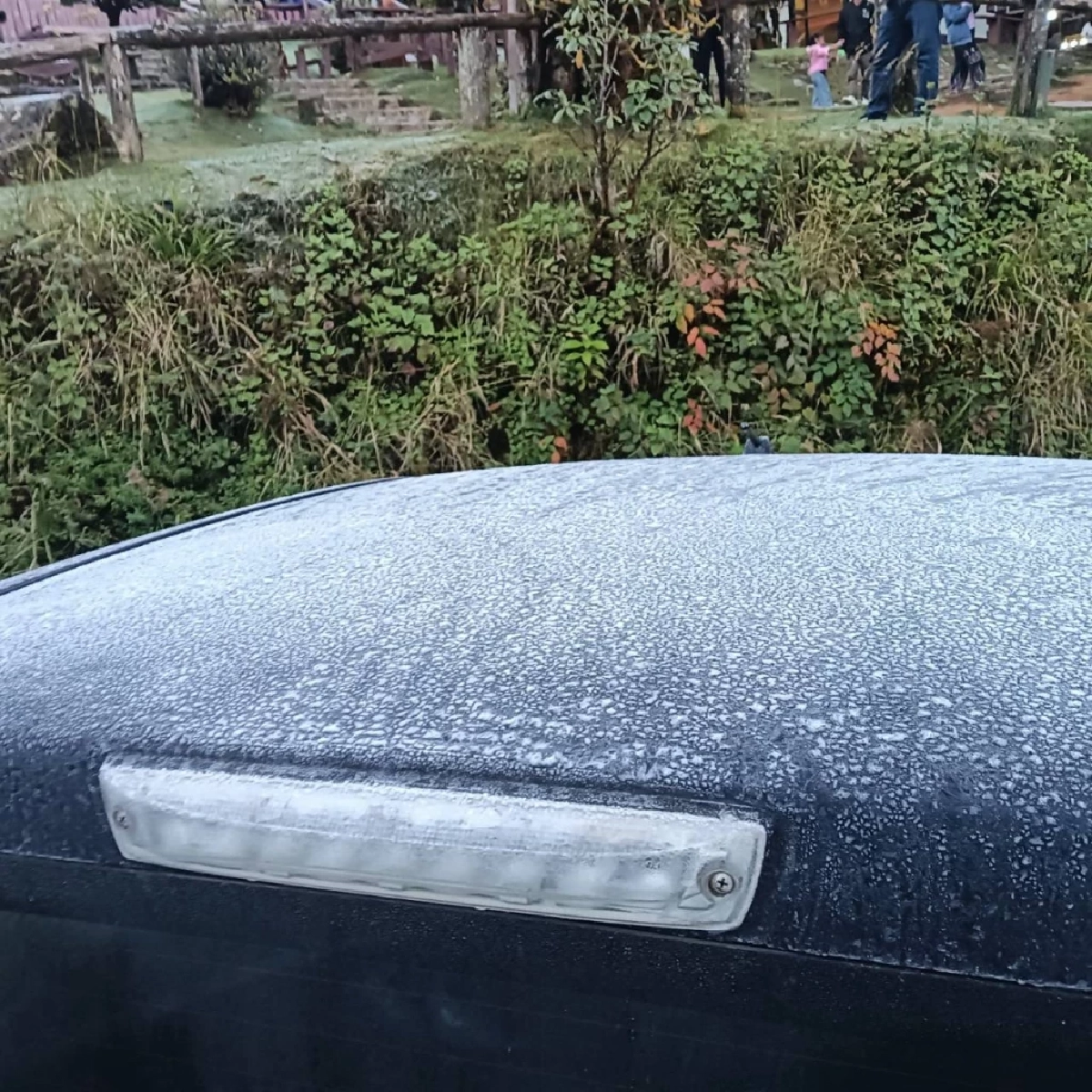 หนาวจัด 4 องศา เหมยขาบกลับมาอีกครั้ง ดอยอินทนนท์เช้านี้