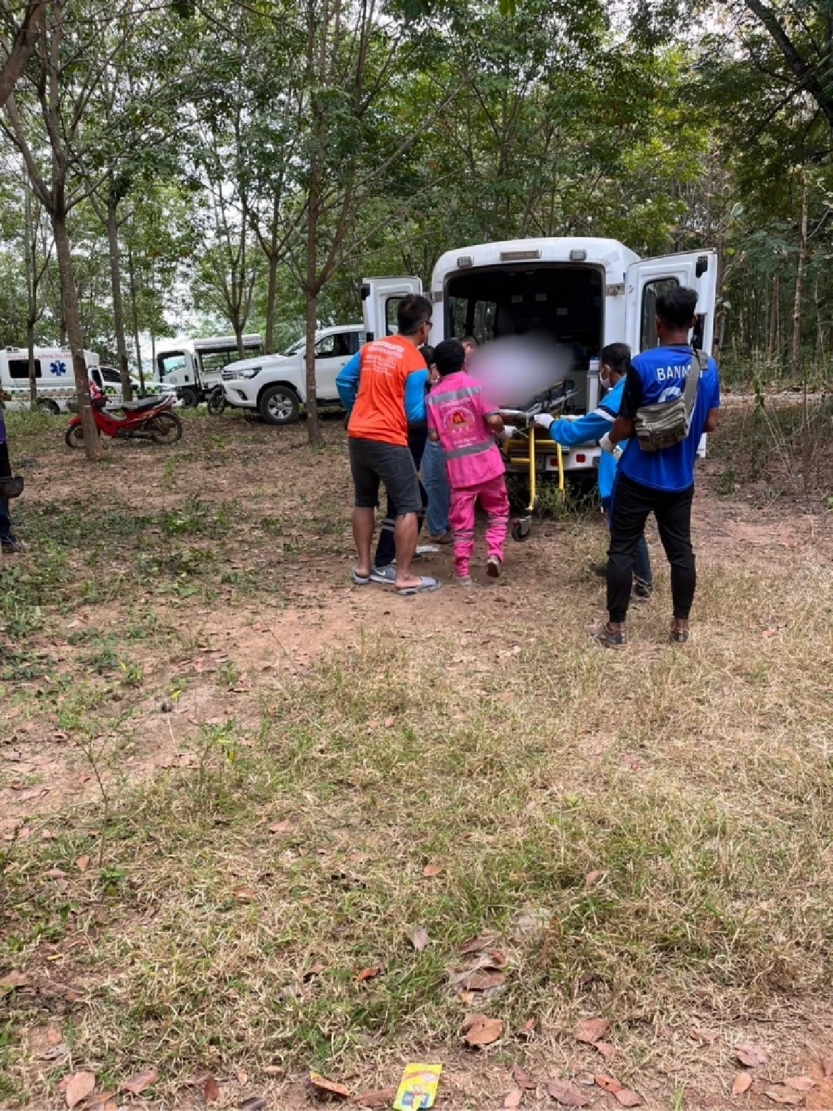 ช้างป่าทำร้ายพระมรณภาพขณะบิณฑบาต กรมอุทยานเร่งเยียวยา
