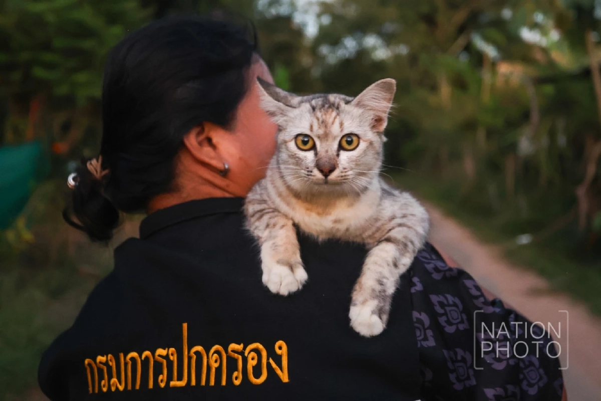 ภาพ โสภน สุเสนา (Sopon Susena)