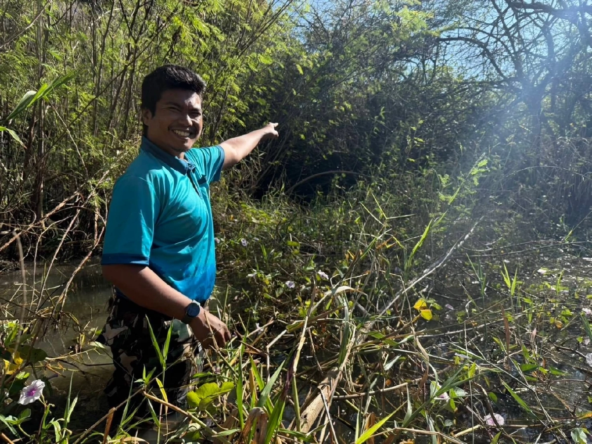 อีแร้งสีน้ำตาลหิมาลัย บินขึ้นแล้ว หลังติดพุ่มหนามที่ลพบุรี