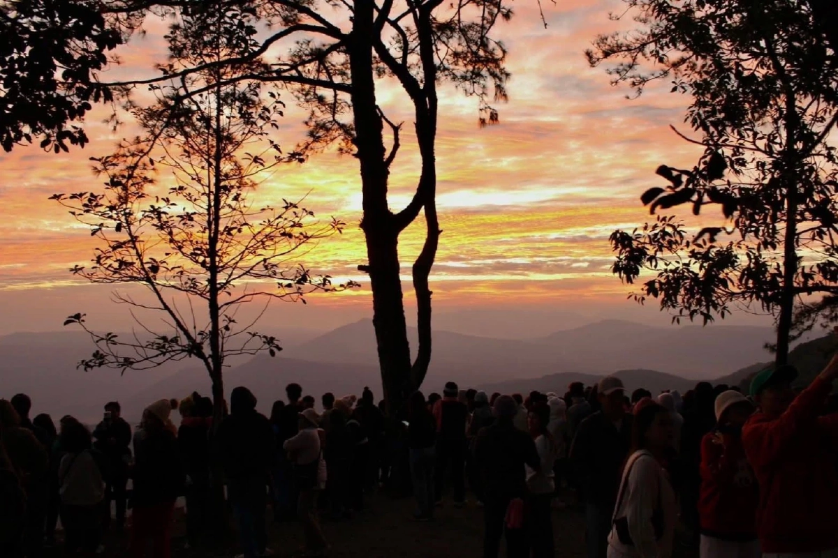 แห่ขึ้นภูเรือนับพัน! เข้าฟรีวันแรก ทะเลหมอกปังส่งท้ายปี 2568