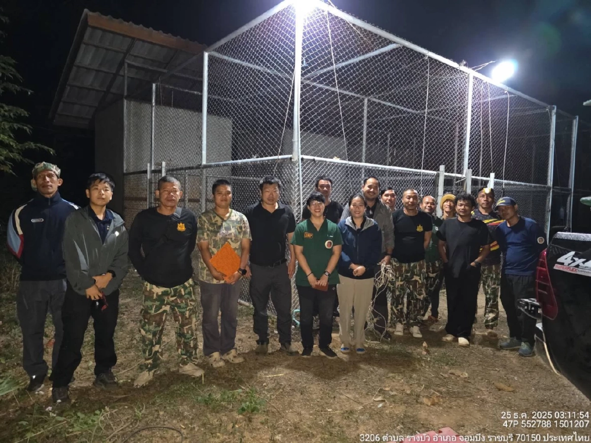 ภารกิจสำเร็จ ส่งหมี 3 ตัว-สิงโต 2 ตัว สู่ศูนย์พักพิงปลอดภัย