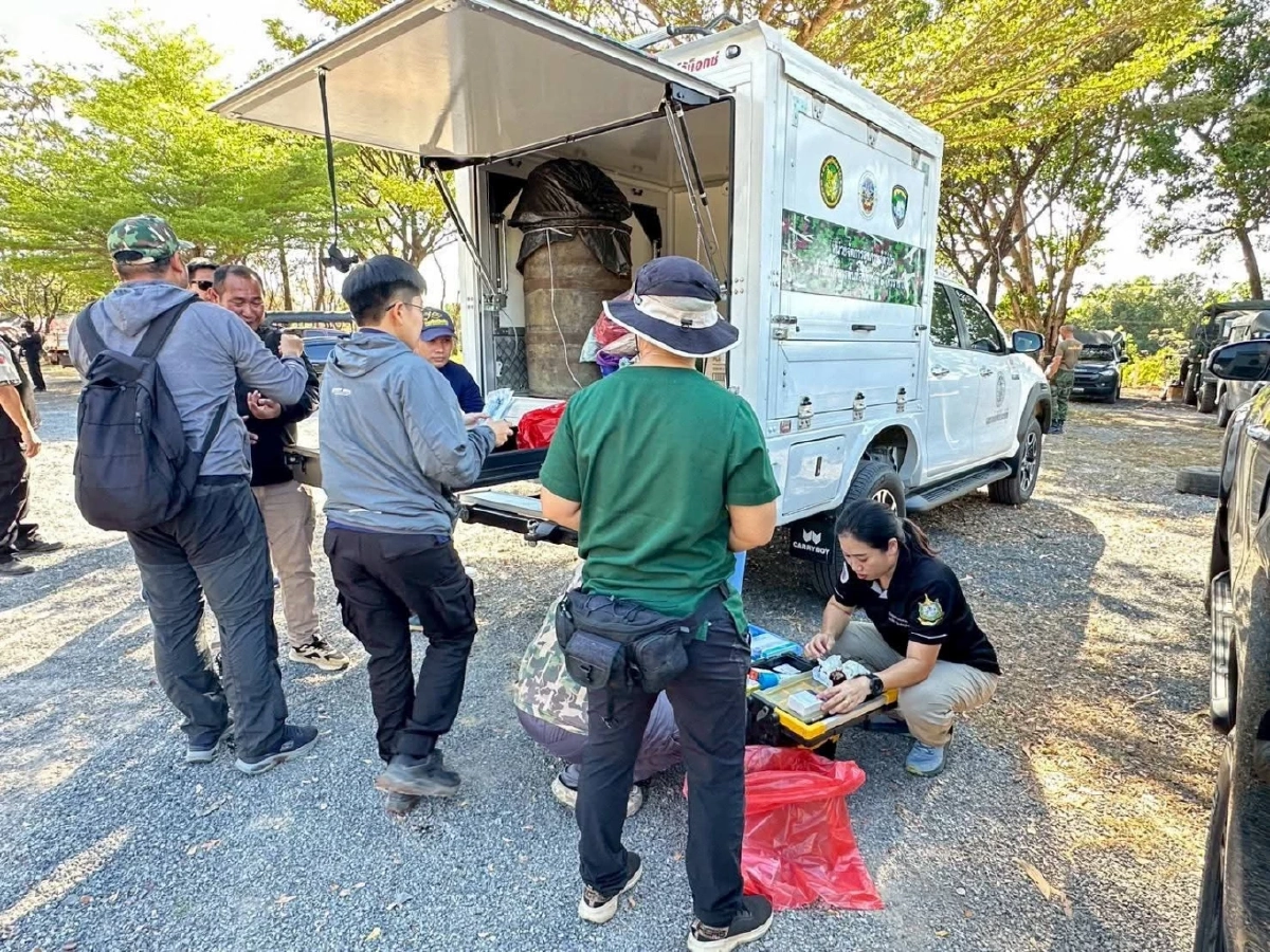 กรมอุทยานฯ บุกช่วยหมีและสิงโตจากกาสิโนชายแดนตราด ส่งพักฟื้นด่วน